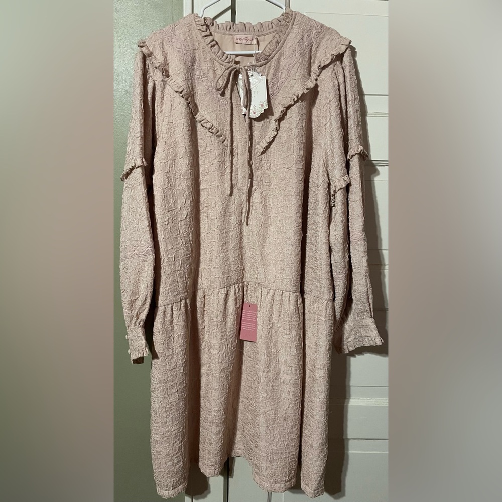 NWT 3X Ivy City Co Blush Textured Ruffle Jace Dress